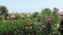 lesvos_view3_28529.jpg