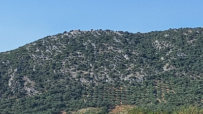 lesvos_view3_2810829.jpg